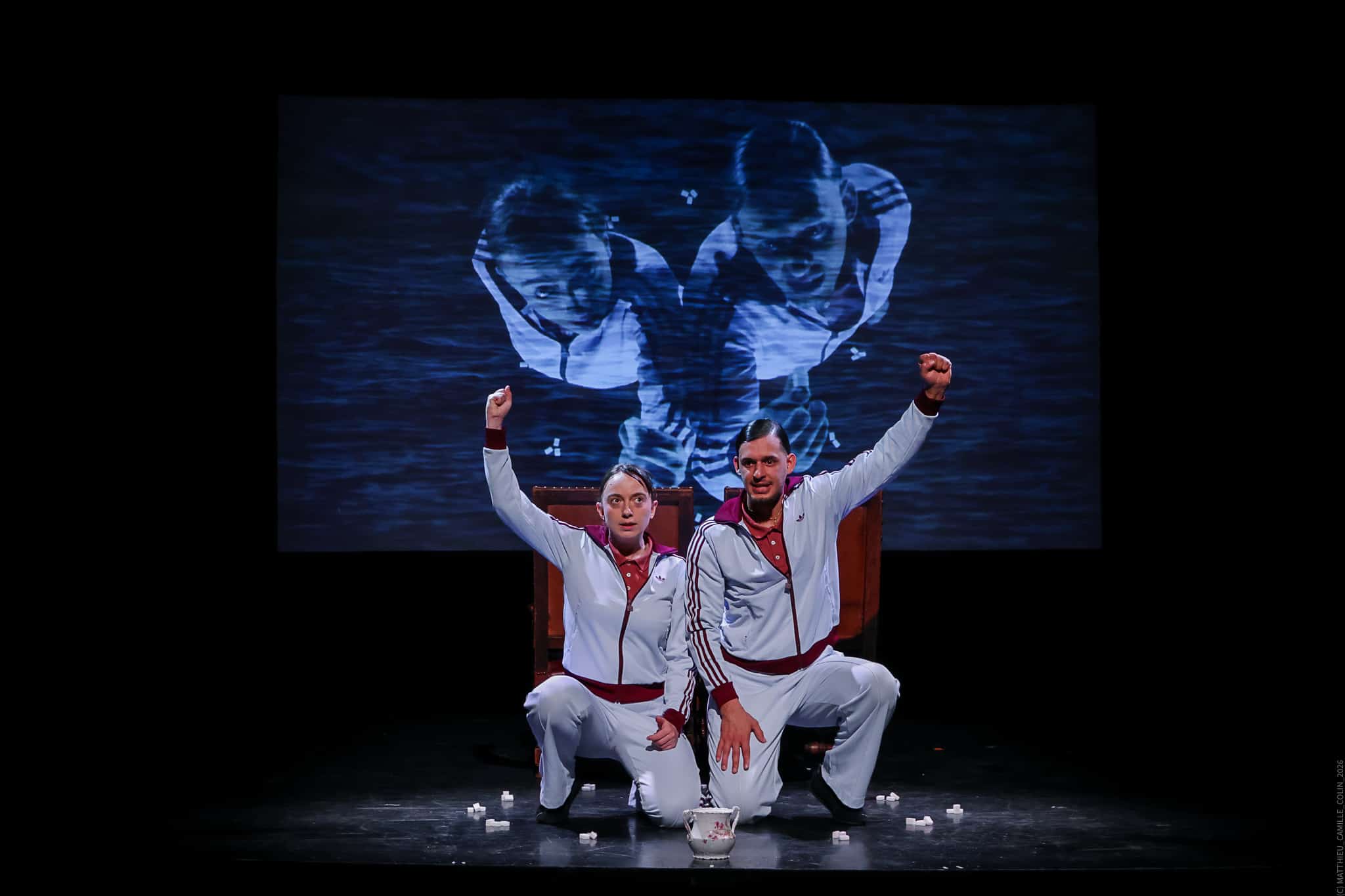 Les Deux Frères et les Lions